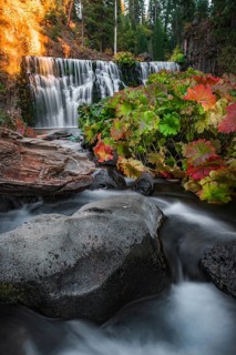 Middle Falls