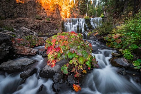 Middle Falls