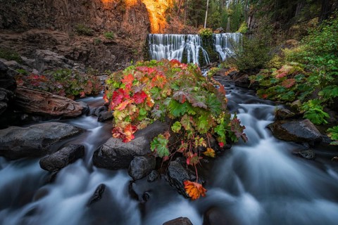 Middle Falls