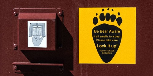 Be Bear Aware