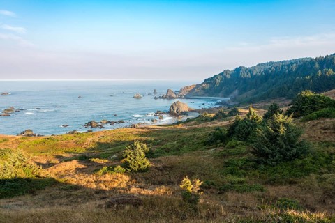 Coastal landscape with many rugged rock islands