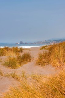 View over over overgrown sand dunes on rocky coast