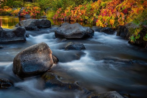 Autumn vegetation on the McCloud River