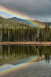 Rainbow in dark clouds over a forest