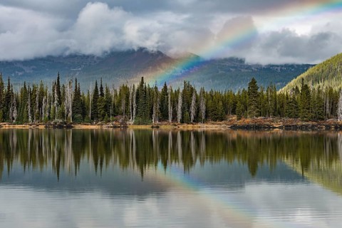 Rainbow in clouds over a forest