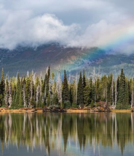 Rainbow in clouds over a forest