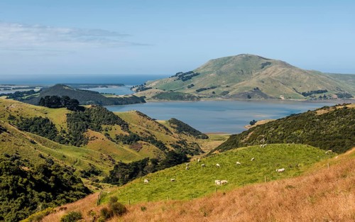 Hilly Landscape