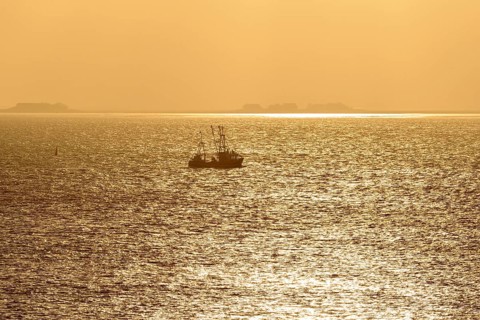 Shrimp boat on North Frisian Wadden Sea