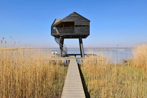 Kiekkaaste in the reed of Dollart