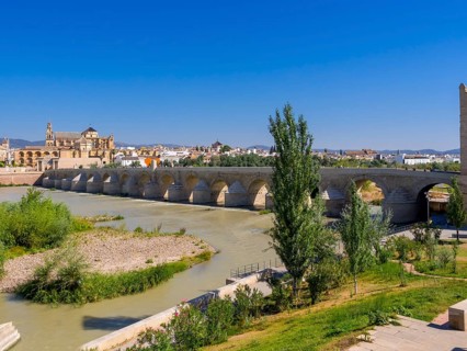 Roman bridge