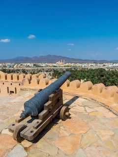 Cannon
