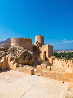 Fort Nakhl