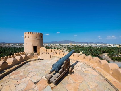 Cannon