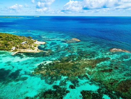 Coral reef off Great Bird Island