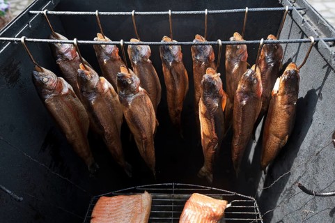 Smoked trout (Salmo trutta) in flue