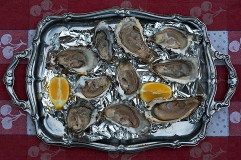 Fresh oysters (Ostreidae) on a tray with lemon