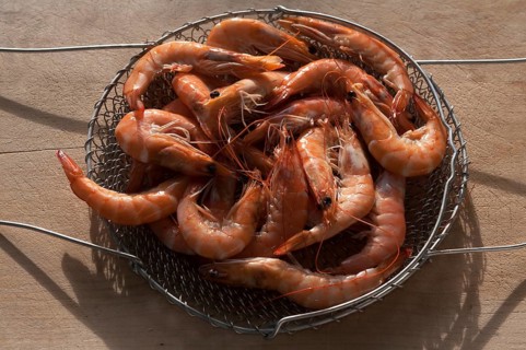Cooked shrimp in colander