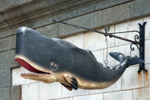 Whale model