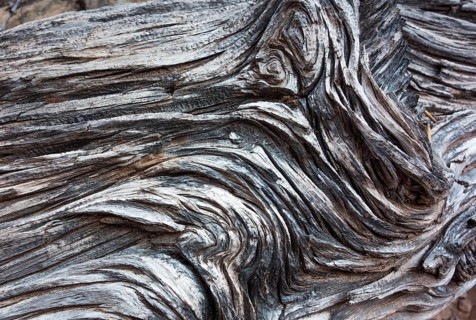 Deadwood