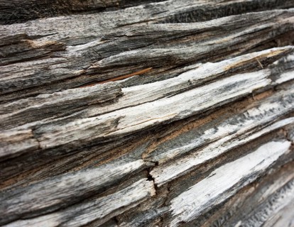 Deadwood