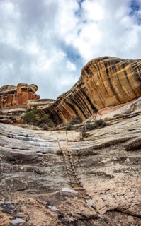 Hiking trail with wooden ladder on rock face