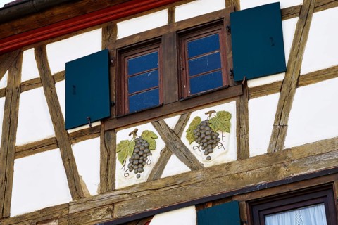 Half-timbered house with stylized vines