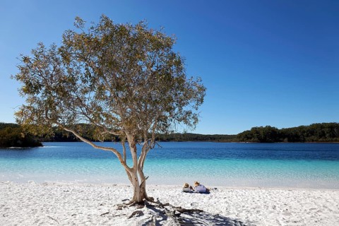 Couple lying on the sandy beach next to niaouli