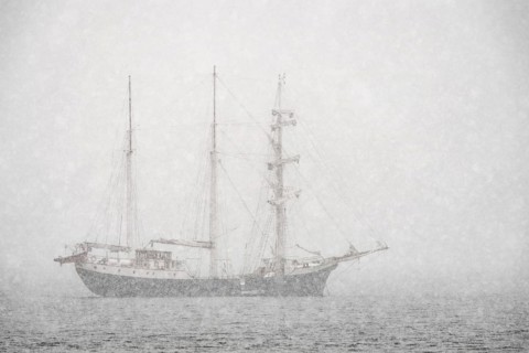Barkentine Antigua in the snow drift