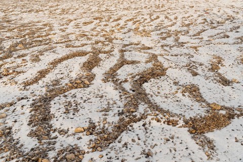 Frost