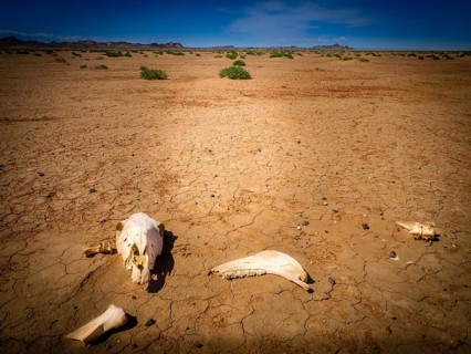 Gobi Desert