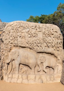 Close-up of elephants at Arjuna's Penance