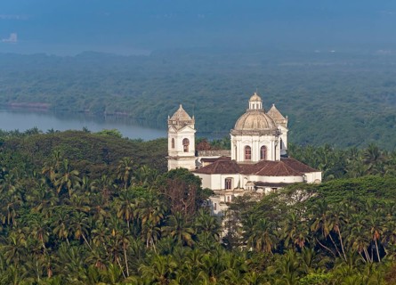St. Cajetan Church among palm trees