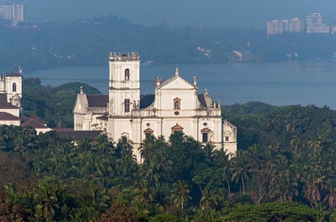 View of Se Cathedral among palm trees