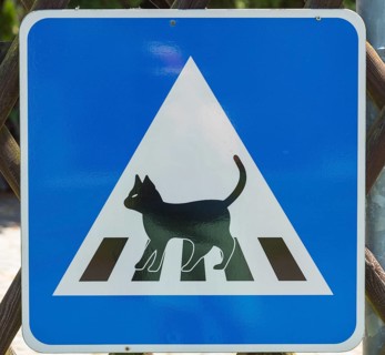 Road sign