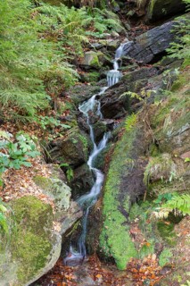 Small waterfall