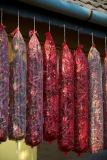 Hungarian paprika (Capsicum annuum) being dried
