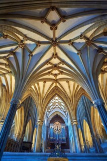 Interior and organ