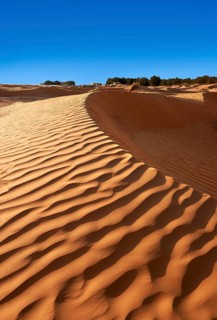Sand dunes of Grand Erg Oriental near the oasis of Ksar Ghilane