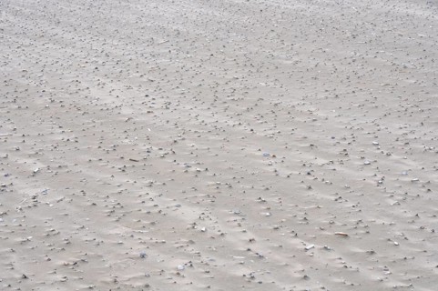 Sand drifts with broken mussels on the beach of the North Sea island of Juist