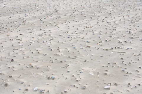 Sand drifts with broken mussels on the beach of the North Sea island of Juist