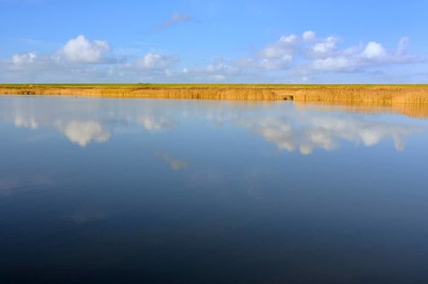Cumulus clouds reflected in water