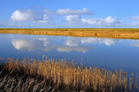 Cumulus clouds reflected in water