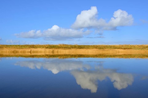 Cumulus clouds reflected in water
