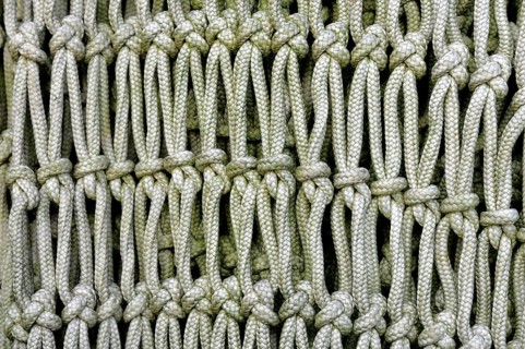 Fishing net