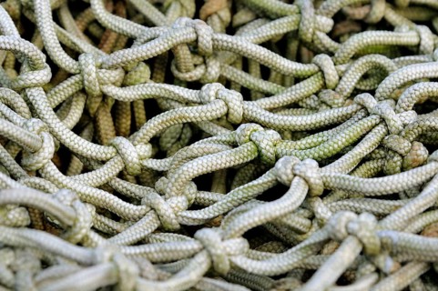 Fishing net