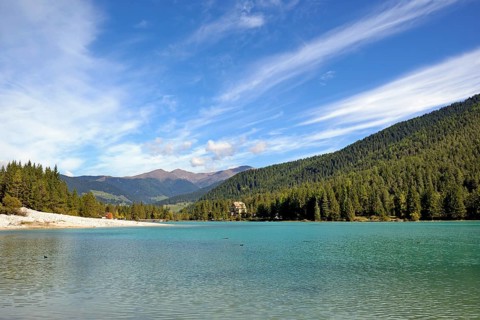 View over the emerald green lake Dobbiaco with mountain forest and Murengang