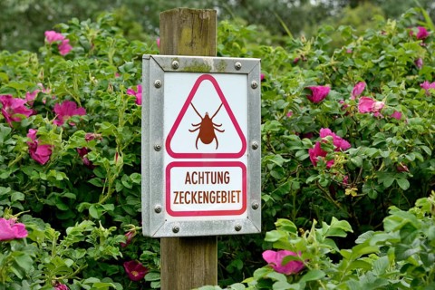 Warning sign Ticks area