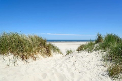 Beach crossing