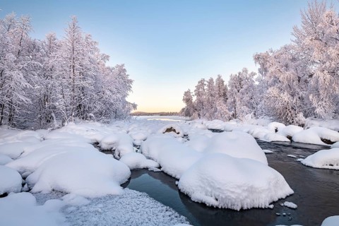 Snow-covered trees on a river