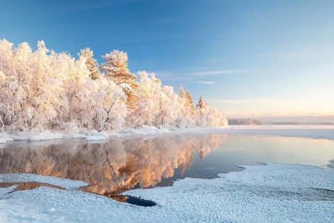 Snow-covered trees reflected in a semi-frozen lake